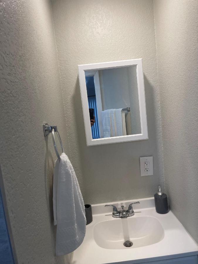 Adorable Suite In Tampa. Esterno foto